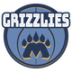 灰熊 logo