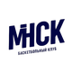 特莫基明斯克 logo