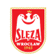 弗罗茨瓦夫女足 logo