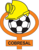 科布雷索女足 logo