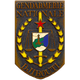 国际宪兵队 logo