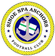 西诺尔NPA锚队 logo