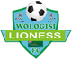 沃洛吉 logo