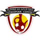 埃塞俄比亚咖啡