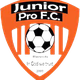 青年Pro FC logo