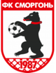 斯莫根女足 logo