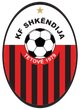 斯肯迪亚女足 logo