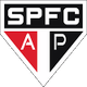 圣保罗AP logo