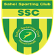 沙希尔SC logo