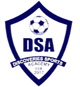 探索SA logo
