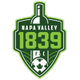 纳帕维利1839 logo